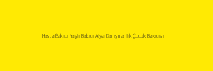 Hasta Bakıcı Yaşlı Bakıcı Alya Danışmanlık Çocuk Bakıcısı